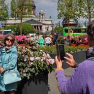 Садовые композиции на Синем мосту к Дню города 2023 фотографии