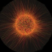 Выставка «Эволюция» фотографии