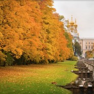 Осенние каникулы в музее-заповеднике Царское село 2022 фотографии