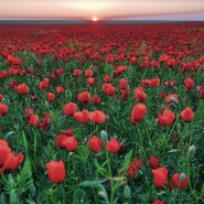 Выставка казахского фотографа Максата Шагырбая фотографии