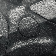 Выставка фотографий Олега Мусина «Сдержанный оптимизм» фотографии