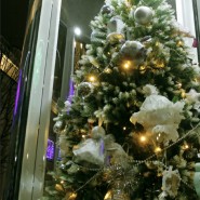 Новогодний Петербург и самые красивые ёлки города 2026 фотографии
