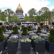 Садовые композиции на Синем мосту к Дню города 2023 фотографии