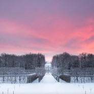 Новогодние праздники в Царском селе 2024 фотографии