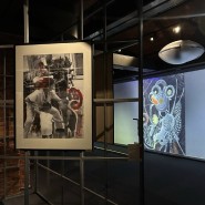 Новая персональная выставка Павла Кира фотографии