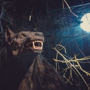 Мир сказочных приключений в музее «Бестиарий» фотографии