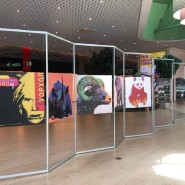 Выставка работ Энди Уорхола в ТРК «Лето» фотографии