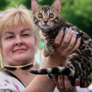 Фестиваль породистых животных «ЛапЛандия» фотографии