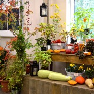 Выставка и фестиваль «Дары осеннего сада» 2023 фотографии