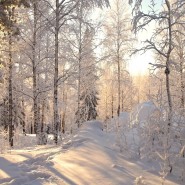 Топ-15 интересных событий в Санкт-Петербурге на выходные 30 и 31 января 2021 фотографии