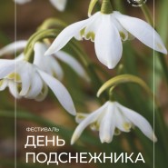 Фестиваль «День подснежника» 2025 фотографии
