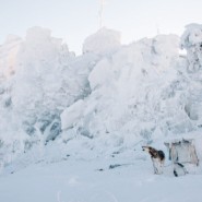 Выставочный проект «Контурные карты» фотографии