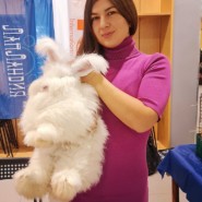 Фестиваль породистых животных «ЛапЛандия» в ТРК «Парк Молл» фотографии