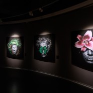 Выставка «Общая материя» фотографии