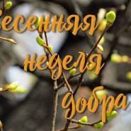 «Весенняя Неделя Добра» в Санкт-Петербурге 2021 фотографии