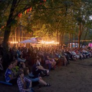 Фестиваль живого кино «Кинолес» 2022 фотографии