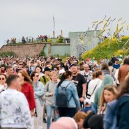 Музыкально-спортивный-гастрономический фестиваль «Паруса Кронштадта» 2022 фотографии