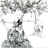 Выставка «Сад Камней» фотографии