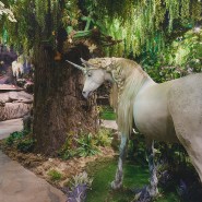 Мир сказочных приключений в музее «Бестиарий» фотографии