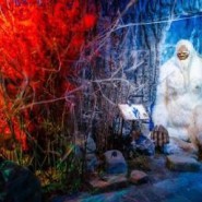 Мир сказочных приключений в музее «Бестиарий» фотографии
