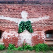 Международный экологический фестиваль искусств «КронФест 2023» фотографии