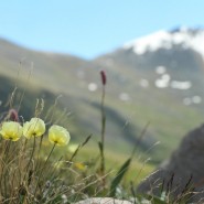 Выставка «Заповедные территории России» фотографии