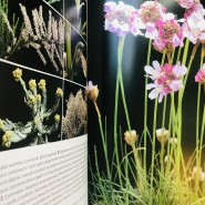 Выставка «Цветочное настроение» фотографии