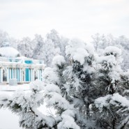 Новогодние каникулы в Царском селе 2022 фотографии