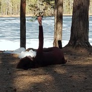 Фестиваль «Слово и тело» фотографии