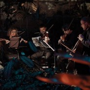 МАГИЯ СВЕЧЕЙ. «От Вивальди до Jingle Bells» в Оранжерее фотографии