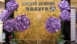День защитника Отечества в ТРК «Питер Радуга» 