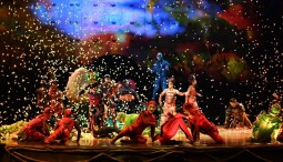 Шоу «OVO Cirque du Soleil»