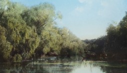 Выставка «Туманные картины Трансвааля»