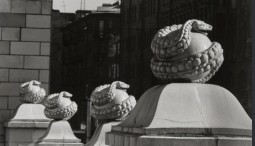 Лекция Дмитрия Французова  «О чем говорят фасады: диалог двух столиц. Петербург-Москва»