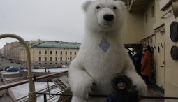 День Белого медведя на ледоколе Красин 