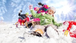 Новогодние каникулы в парке Сказок 2024