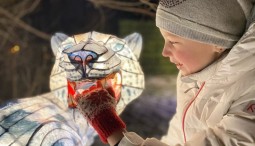 Выставка световых фигур «Планета света»