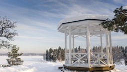 Зимние прогулки в парке «Монрепо» 2021