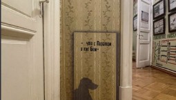 Выставка «В нашей квартире собаки и кот: питомцы С.М. Кирова»