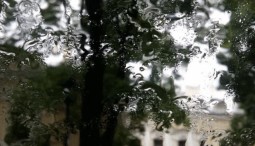 Неделя в музее Анны Ахматовой