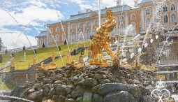 Торжественный пуск фонтанов в Петергофе 2026