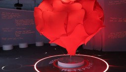 Мультимедийная интерактивная выставка «Мой Петербург»