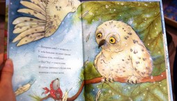 Новогодний книжный салон в выставочном центре ARTPLAY 2018