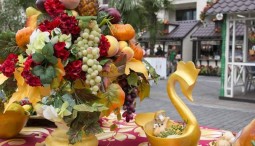 Гастрономический фестиваль на Московской площади 2017