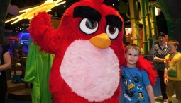 Скидка на посещение Angry Birds Activity Park