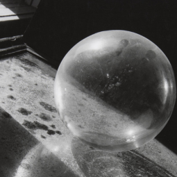 Выставка «Жизнь вещей»