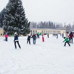 Ледовый каток в Павловском парке 2017