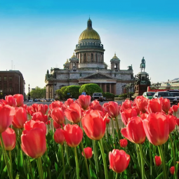 Топ-10 интересных событий в Санкт-Петербурге на выходные 4 и 5 июня 2022 г.