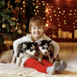 Интересные события в Санкт-Петербурге в выходные 6 и 7 декабря 2025