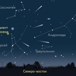 Августовский звездопад 2016